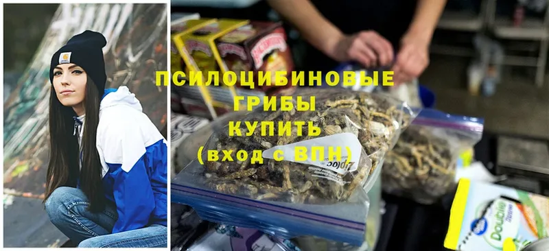 Галлюциногенные грибы GOLDEN TEACHER  наркота  Гуково 